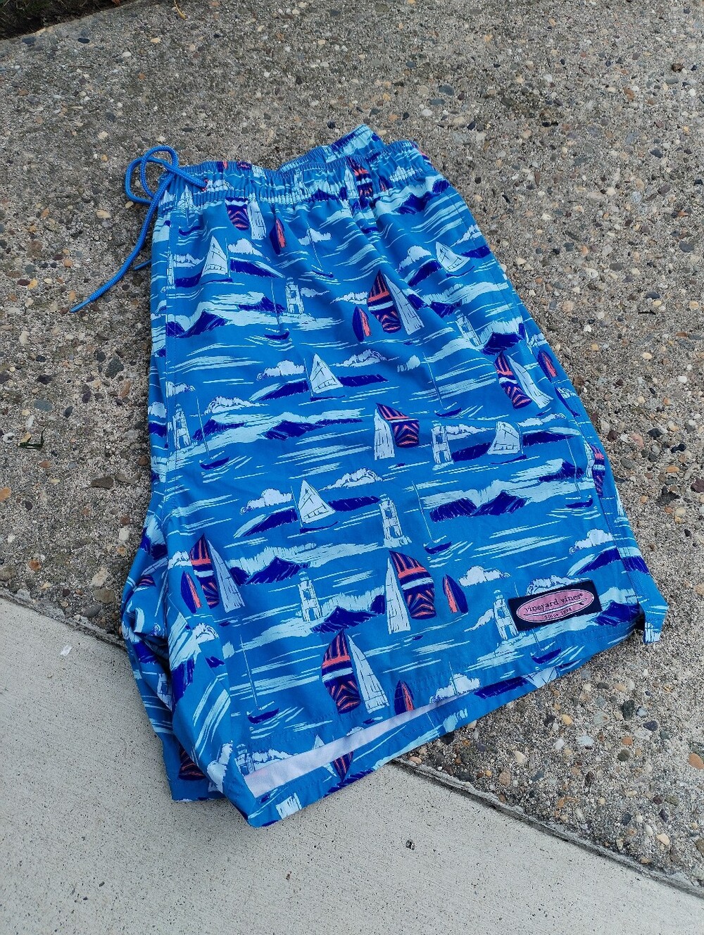 Blue Sailboat Print Men's Swim Shorts
